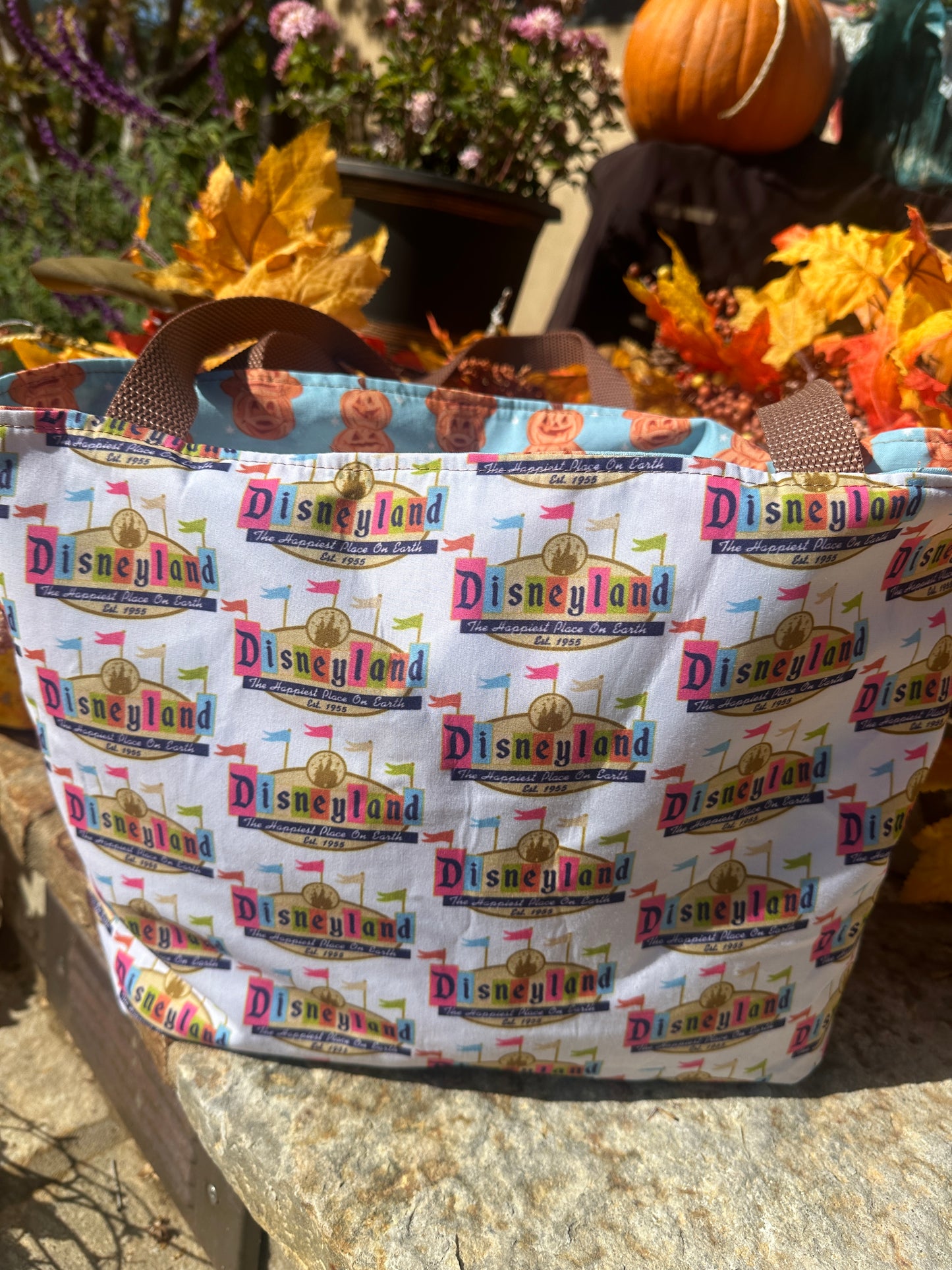 Disneyland Character Pumpkin Reversible Tote